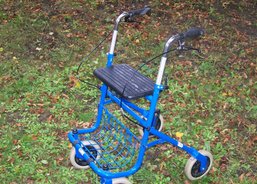 Chodítko 4,00 Kč/den