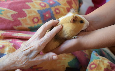 "Chlupatá" návštěva