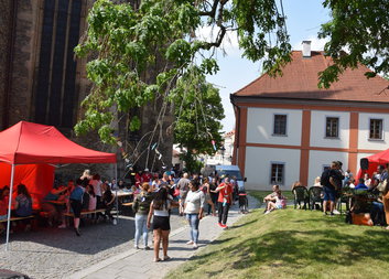 Junior Fest 2019
