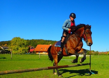 Návštěva koní ve Svrčovci