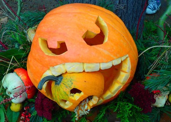 Výlet s klubem Chapadlo do Plzeňské ZOO 