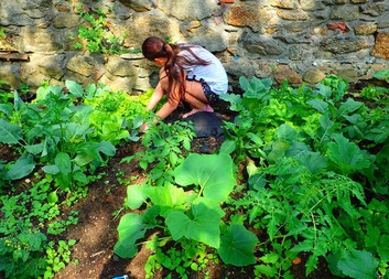 Pěstování v Domově pokojného stáří