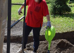 Sázení růží okolo sochy Panny Marie na zahradě DPS