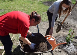 Sázení růží okolo sochy Panny Marie na zahradě DPS