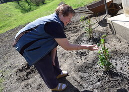 Sázení růží okolo sochy Panny Marie na zahradě DPS