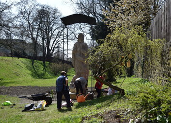 Sázení růží na zahradě Domova pokojného stáří