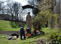 Sázení růží okolo sochy Panny Marie na zahradě DPS