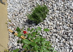 Upravené okolí sochy Panny Marie