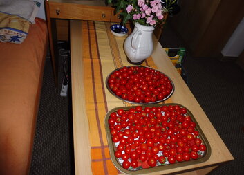 Poděkování dárkyni