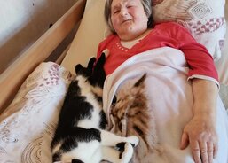 Naše kočka Matylda