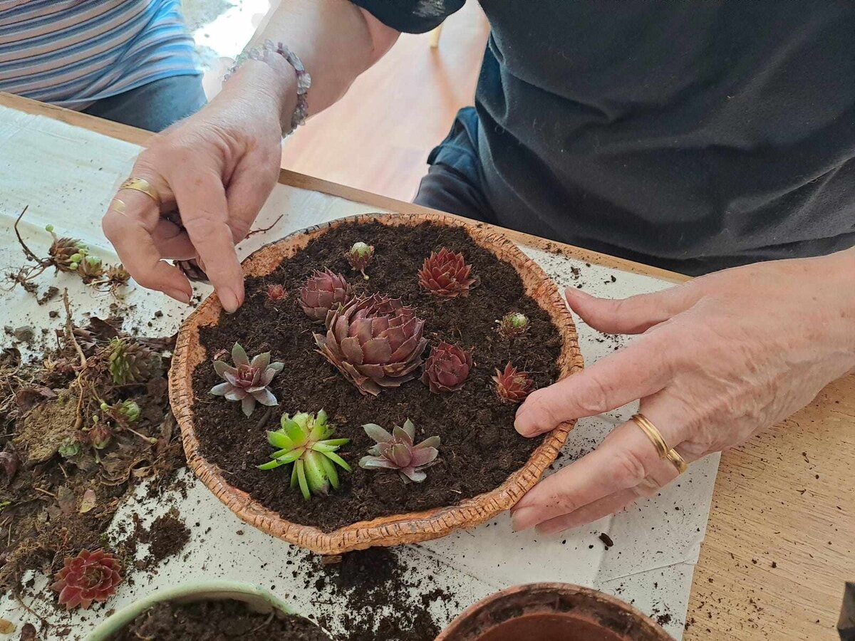 Sociálně aktivizační služby pro seniory a osoby se zdravotním postižením